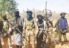 Terror Unleashed: Gunmen Kill 13, Burn 7 Villages in Deadly Kebbi Attack