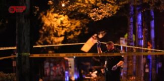 Man with Troubled Past Arrested After Driving Into Crowd at Vancouver Filipino Festival 11 Dead in Vancouver Festival Crash, Mental Health Probe