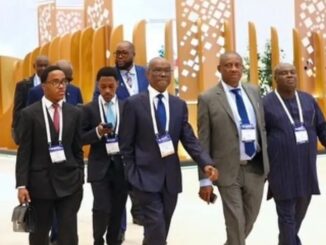 Wike sons Dubai delegation