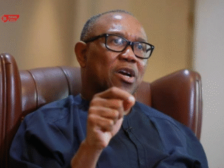 Peter Obi Yahoo boys