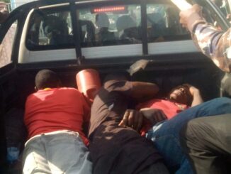 human organ trafficking attempt