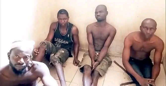 FB_IMG_1761978850082